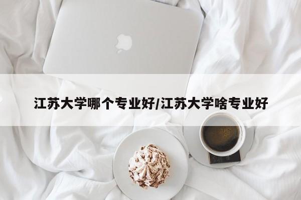 江苏大学哪个专业好/江苏大学啥专业好