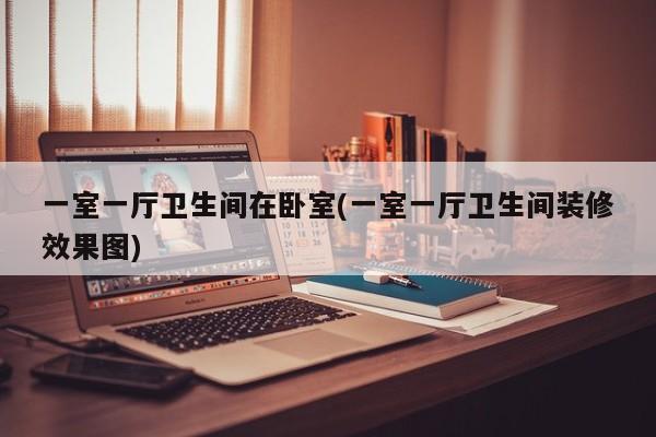 一室一厅卫生间在卧室(一室一厅卫生间装修效果图)