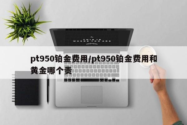 pt950铂金费用/pt950铂金费用和黄金哪个贵
