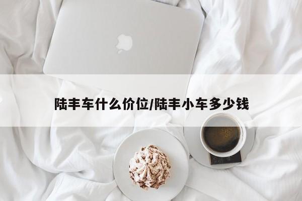 陆丰车什么价位/陆丰小车多少钱
