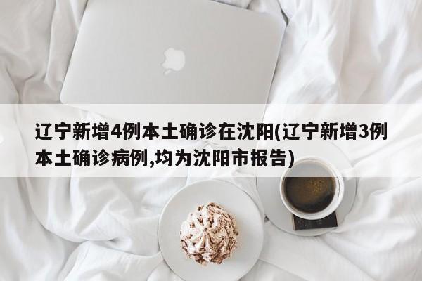 辽宁新增4例本土确诊在沈阳(辽宁新增3例本土确诊病例,均为沈阳市报告)