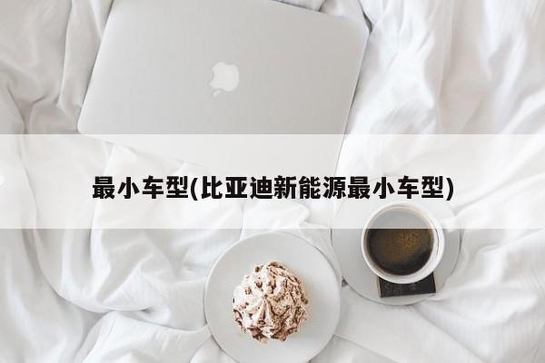 最小车型(比亚迪新能源最小车型)