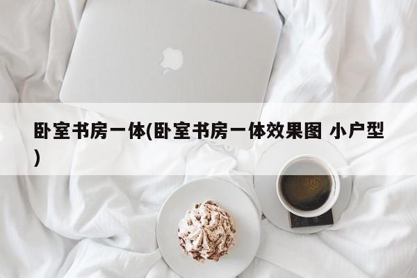 卧室书房一体(卧室书房一体效果图 小户型)