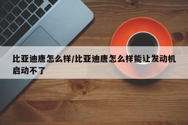 比亚迪唐怎么样/比亚迪唐怎么样能让发动机启动不了