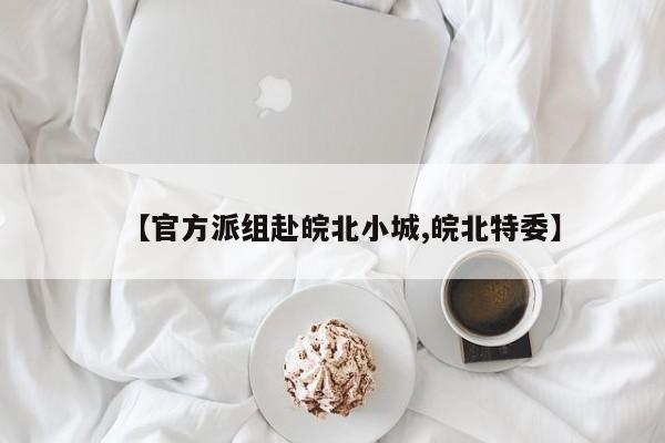【官方派组赴皖北小城,皖北特委】