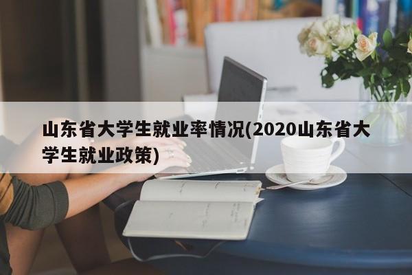 山东省大学生就业率情况(2020山东省大学生就业政策)