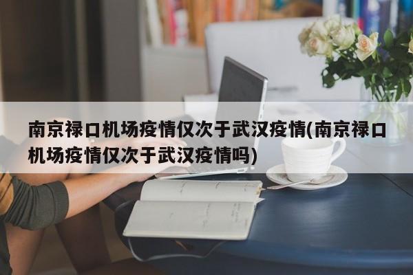 南京禄口机场疫情仅次于武汉疫情(南京禄口机场疫情仅次于武汉疫情吗)