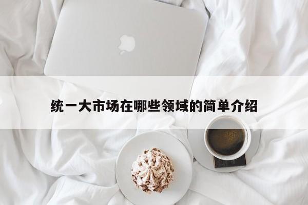统一大市场在哪些领域的简单介绍