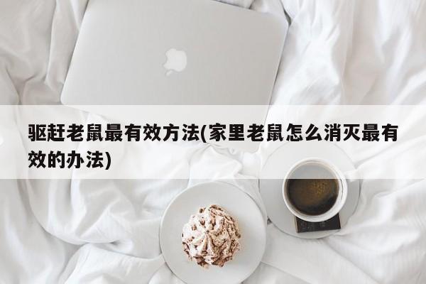 驱赶老鼠最有效方法(家里老鼠怎么消灭最有效的办法)