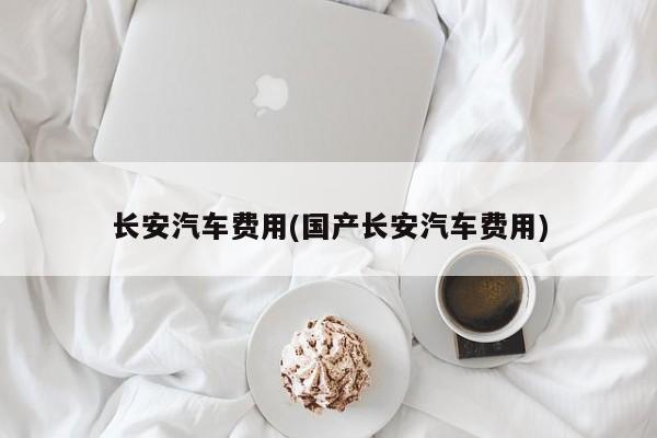 长安汽车费用(国产长安汽车费用)