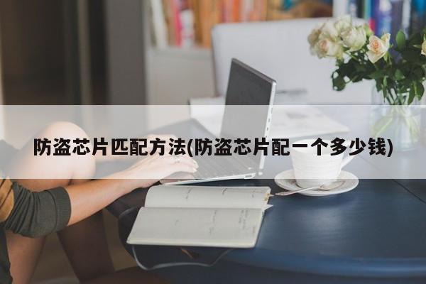 防盗芯片匹配方法(防盗芯片配一个多少钱)