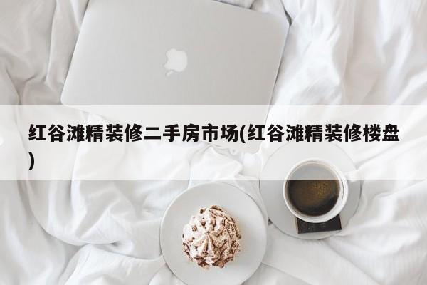 红谷滩精装修二手房市场(红谷滩精装修楼盘)