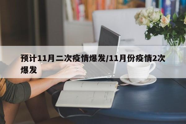 预计11月二次疫情爆发/11月份疫情2次爆发