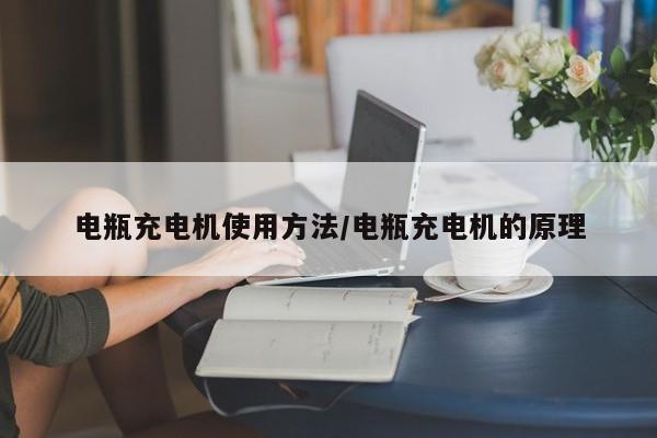 电瓶充电机使用方法/电瓶充电机的原理
