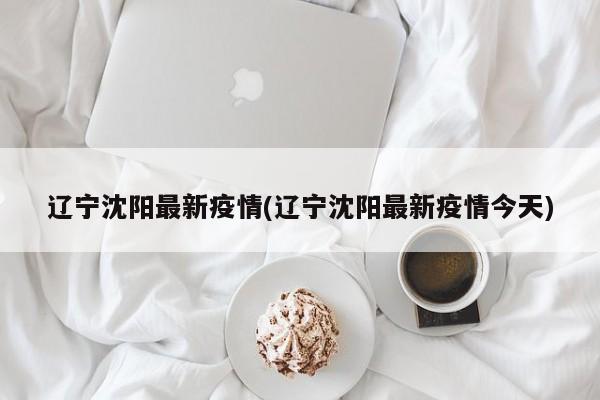 辽宁沈阳最新疫情(辽宁沈阳最新疫情今天)