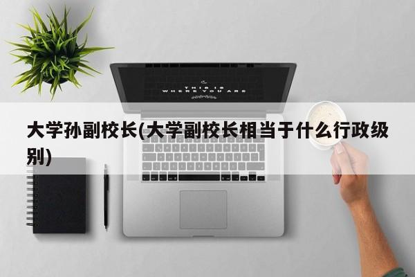 大学孙副校长(大学副校长相当于什么行政级别)