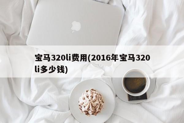 宝马320li费用(2016年宝马320li多少钱)