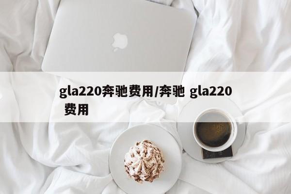 gla220奔驰费用/奔驰 gla220 费用