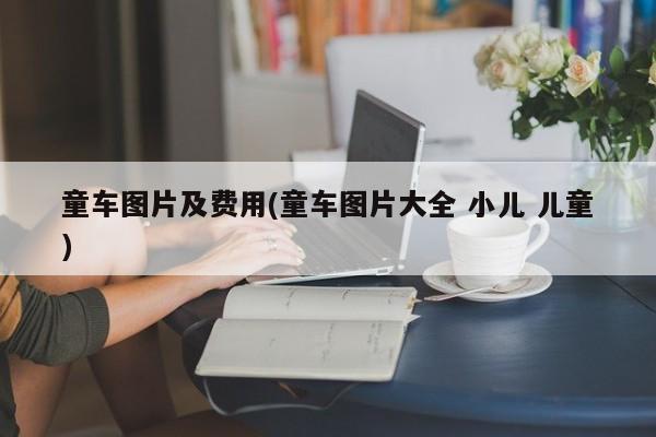 童车图片及费用(童车图片大全 小儿 儿童)