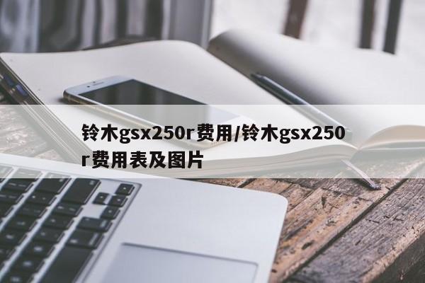 铃木gsx250r费用/铃木gsx250r费用表及图片