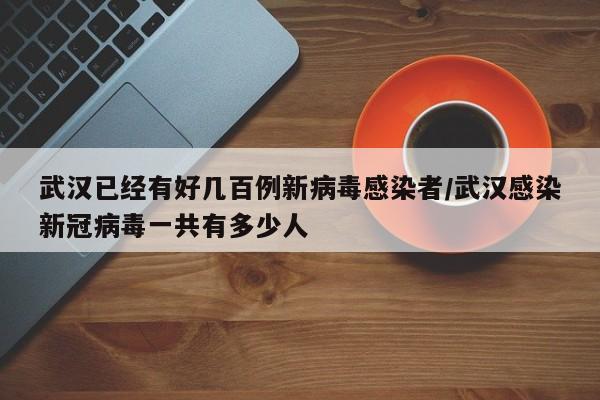 武汉已经有好几百例新病毒感染者/武汉感染新冠病毒一共有多少人