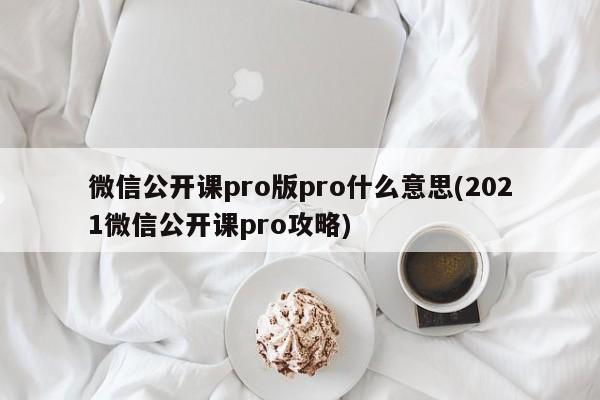 微信公开课pro版pro什么意思(2021微信公开课pro攻略)