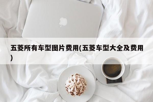 五菱所有车型图片费用(五菱车型大全及费用)